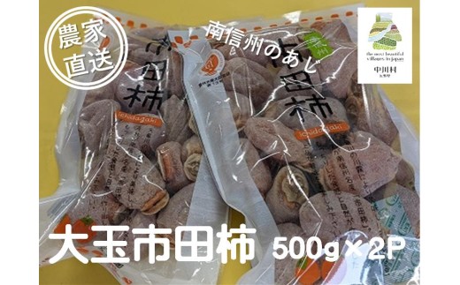 【2027年１月中旬～順次発送】さらら農園の大玉市田柿　約500g×２パック