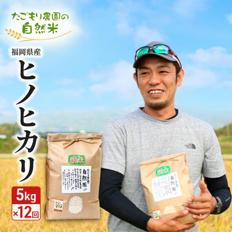 【ふるさと納税】定期便 12ヶ月 たごもり農園の自然米 ヒノヒカリ 5kg 小郡産 栽培期間中 農薬不使用 お米 コメ 精米 12回 お楽しみ