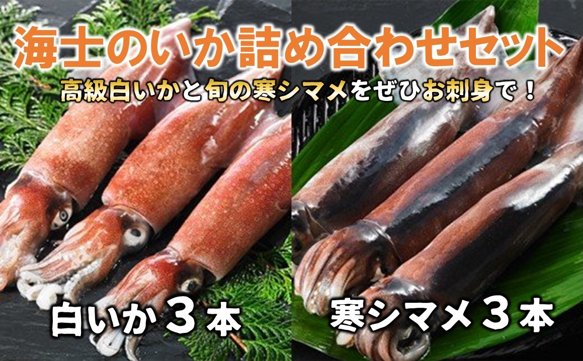 
                  【海士のいか詰め合わせセット】白いか スルメイカ イカ 烏賊 いか 刺身 個包装 丸ごと 年末年始 お正月 御歳暮 ギフト
                