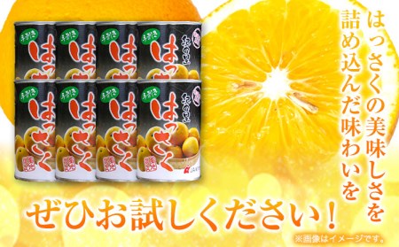 手剥き八朔缶詰 450g×8缶 八朔