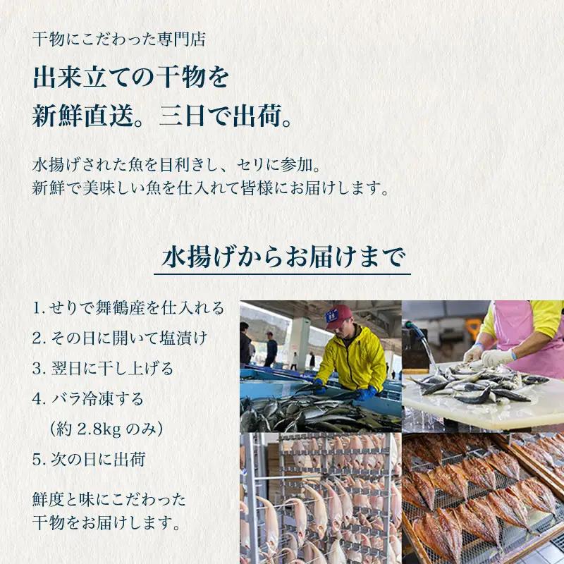 訳あり 干物 約1kg （3種類） 舞鶴産 お試し 干物 セット 