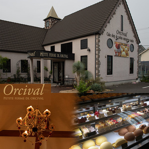 【ガトーショコラ&フロマージュクリーム】 1度で2度美味しい！ボリュームたっぷり 2層ケーキ ホールケーキ Orcival | チーズ ケーキ チョコレート スイーツ 手作り 種類 お取り寄せ 日持ち