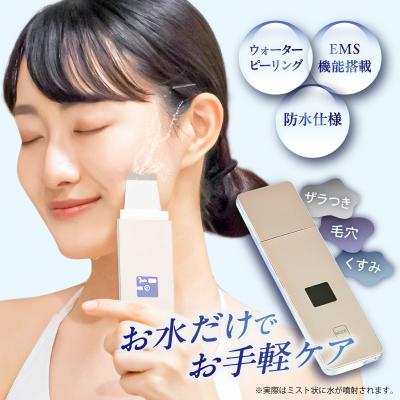 ふるさと納税 江東区 MEスマートピールNEO【kt038-001】