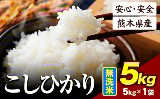 令和6年産 こしひかり 5kg 《7-14日以内に出荷予定(土日祝除く)》令和6年産 熊本県産 ふるさと納税 無洗米 ひの 米 こめ ふるさとのうぜい コシヒカリ コメ お米 おこめ
