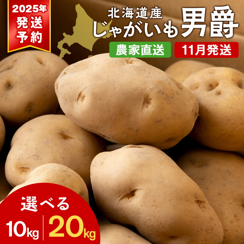 【ふるさと納税】【北海道黒松内産】2025年秋出荷予約 じゃがいも（男爵）選べる10kg～20kg 農家直送 ジャガイモ 芋 男爵いも 北海道 先行予約じゃがいも 芋 男爵芋 男爵 いも 野菜 北海道ふるさと納税 ふるさと納税 北海道 黒松内町 通販 ギフト 贈答品 贈り物