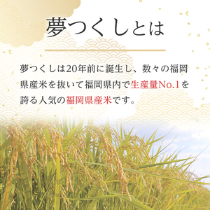 ＜数量限定＞無洗米・真空パック「夢つくし」(計7.5kg・750g×10袋) お米 おこめ 米 こめ コメ 白米 無洗米 福岡県産 夢つくし5合 真空 真空パック ごはん ご飯 常温 常温保存【ksg