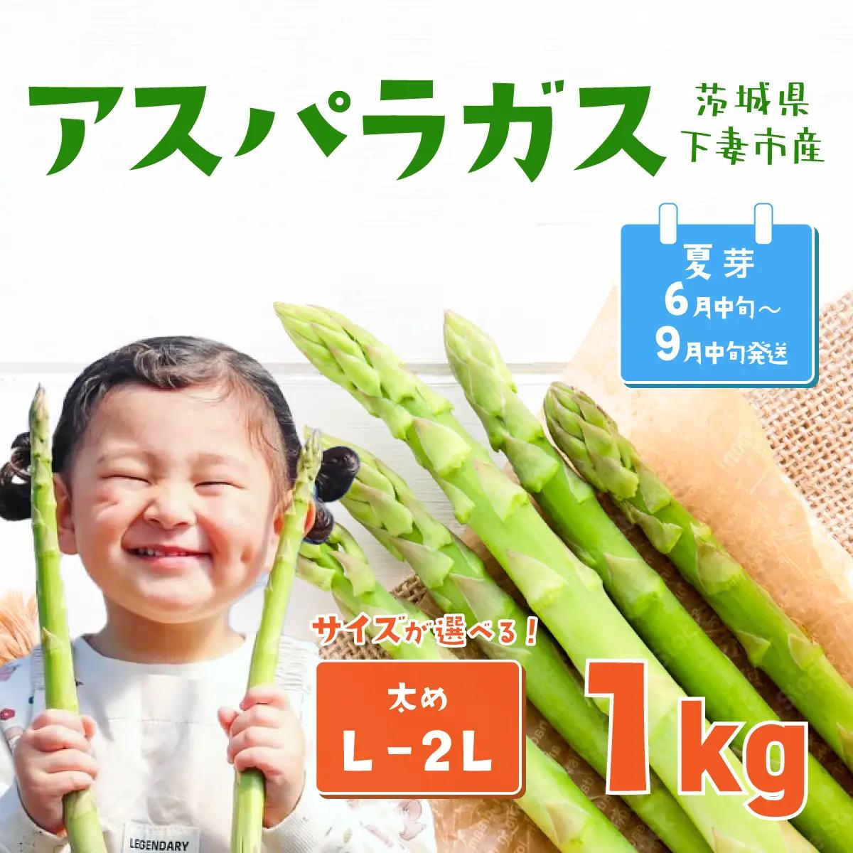 アスパラガス 1kg L～2Lサイズ 朝採り アスパラガス 夏芽 【先行受付】 【26年6月中旬～9月発送】