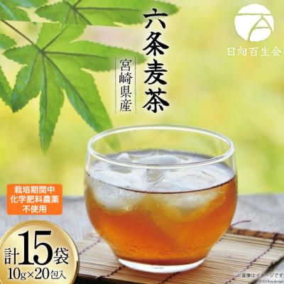 ふるさと納税 日向市 お茶 六条麦茶 (10g × 20包入)×15袋