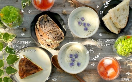 《令和8年分》数量限定！季節のお野菜詰め合わせ 秋(配送時期：9月～10月)