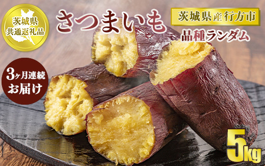 
                  【先行予約】【茨城県共通返礼品　行方市産】【定期便】芋の3ヵ月連続お届けセット　5kg×3回
※2024年10月～12月下旬頃に順次発送予定
                