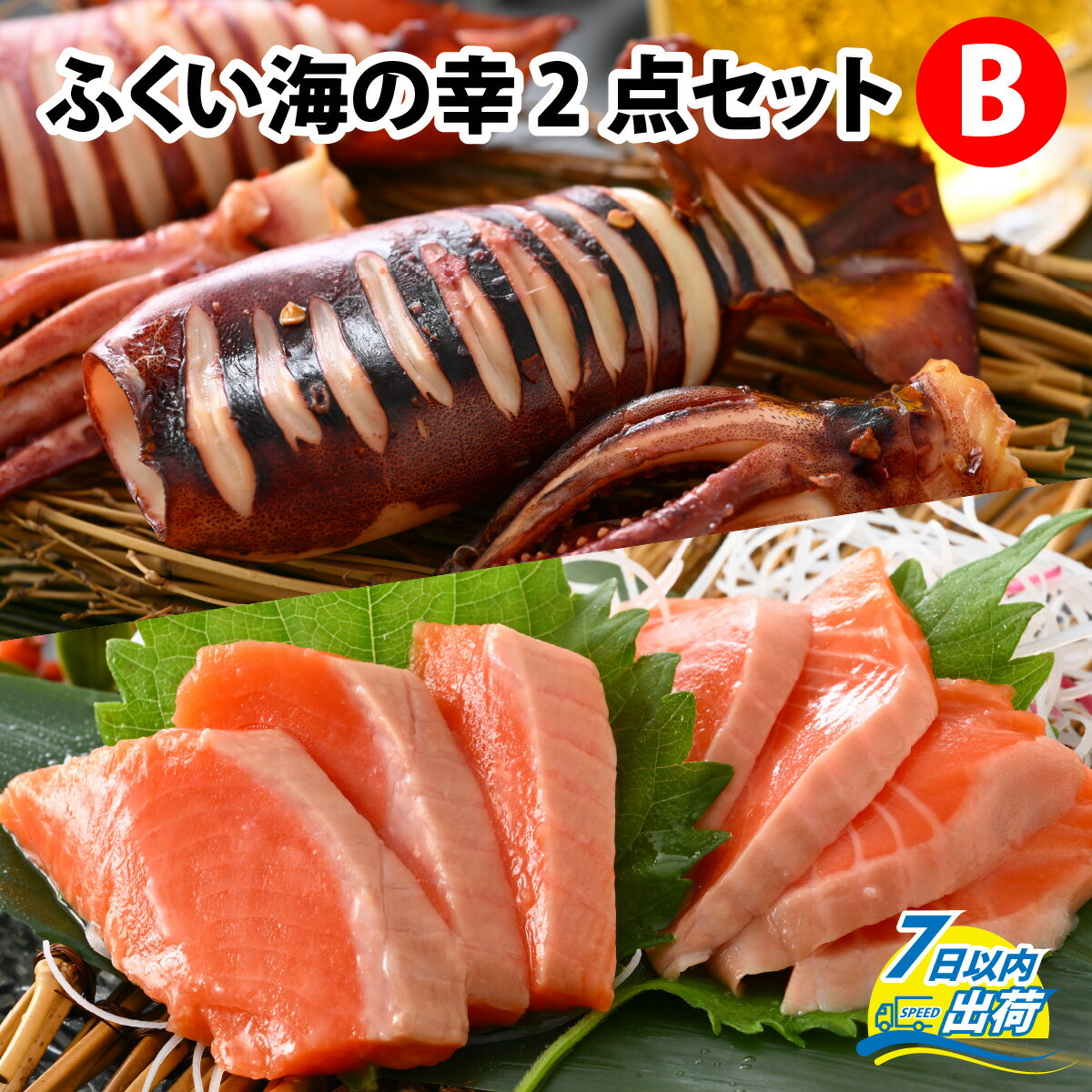 【ふるさと納税】ふくい海の幸2点セットB / ふくいサーモン するめ スルメ いか イカ 汐いか 冷凍 国産 送料無料 [A-004011]