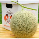 【ふるさと納税】富良野メロン1.3kg～1,5kg1玉入り【1511792】