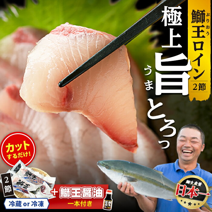 【ふるさと納税】【高評価 4.79】切って盛るだけ ロイン 2節 スキンレスポーション 新物 テレビで紹介ぶりの王様「 鰤王 」 半身 切り身 真空パック すぐに食べれる 産地直送 長島町 鰤 冷蔵 ふるさと納税 ぶり 刺身 ぶりしゃぶ 【JFA】jfa-1678A