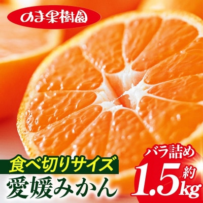 のま果樹園の愛媛みかん(約1.5kg)バラ詰め【1759291】