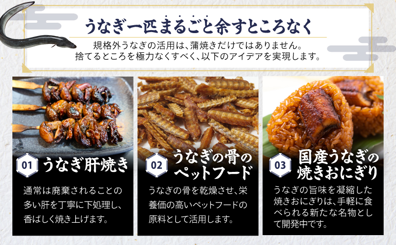 クラウドファンディングで応援！【全12回定期便】鰻の蒲焼 5尾（170g×5）　KN026-T09