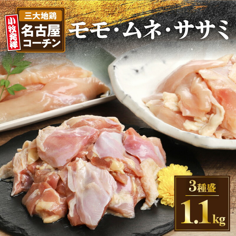 【ふるさと納税】名古屋コーチン 3種盛 1.1kg 大満足セット もも肉 むね肉 ささみ 地鶏 鶏肉 日本三大地鶏 程よい弾力 適度な歯ごたえ コク 旨み かしわ肉 モモ ムネ 焼肉 やきとり 蒸し鶏 親子丼 天ぷら 茶碗蒸し お取り寄せ お取り寄せグルメ 冷凍 愛知県 小牧市 送料無料
