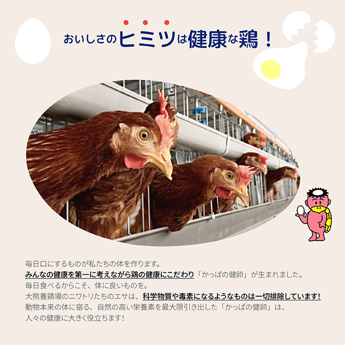 かっぱの健卵２０個（３か月定期便）