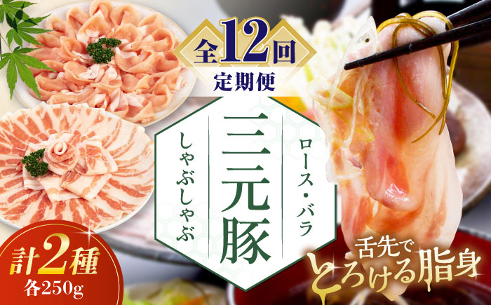 
                  【全12回定期便】平田牧場 しゃぶしゃぶセット 500g (ロース・バラ) ※だし・昆布ナシ 《喜茂別町》【平田牧場】 肉 豚肉 ロース バラ ロース肉 バラ肉 しゃぶしゃぶ 鍋 北海道 [AJAP081] 108000 108000円
                