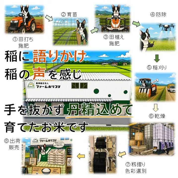 【令和8年産新米】【2ヶ月定期便】阿賀野市産 コシヒカリ 「ファームホリコシ美田米」 10kg（5kg×2袋）×2回  白米 精米 新潟県 米 こめ コメ 10月上旬頃より発送開始予定 3H08045