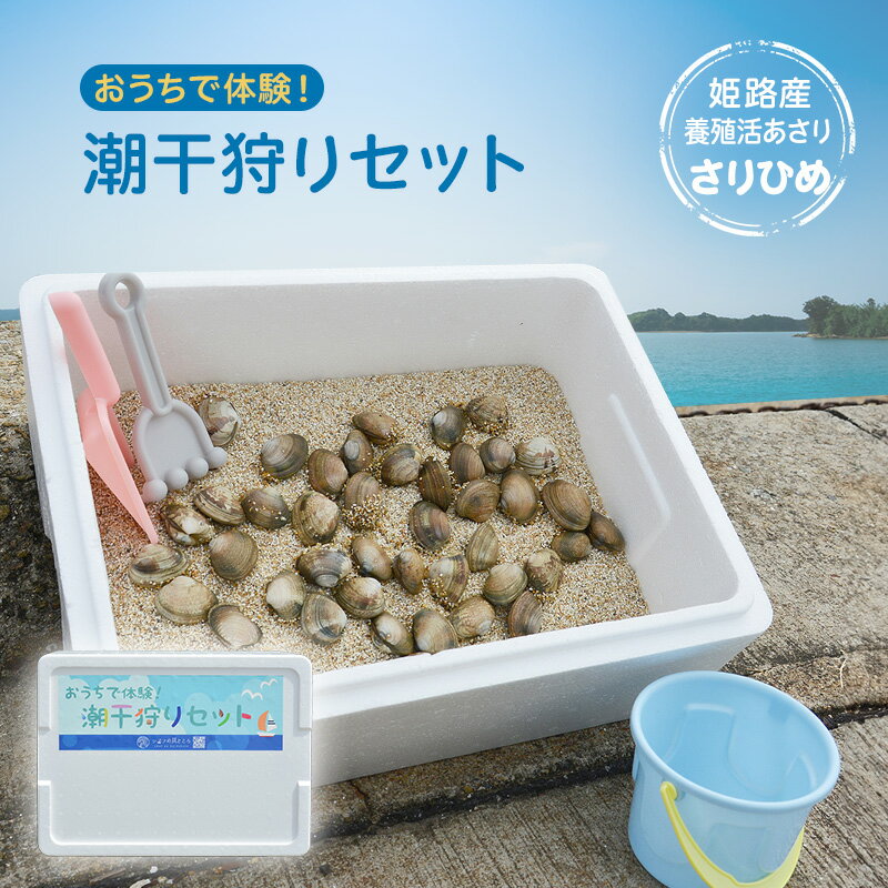 【ふるさと納税】【さりひめ】姫路産 完全国産養殖活あさり　おうちで体験！潮干狩りセット 料理レシピ付き　国産 あさり アサリ 養殖 兵庫県　お届け：2026年2月上旬から2026年4月上旬