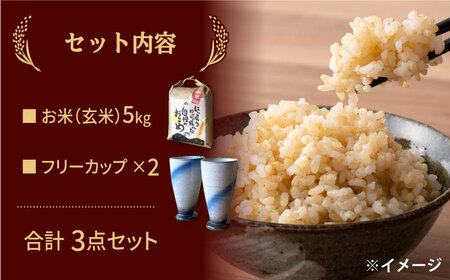 【令和5年産：玄米】 特別栽培米 コシヒカリ （5kg） + 【美濃焼】 青雲かいらぎ フリーカップ 大 （2個） 【山松加藤松治郎商店】[TEU012]