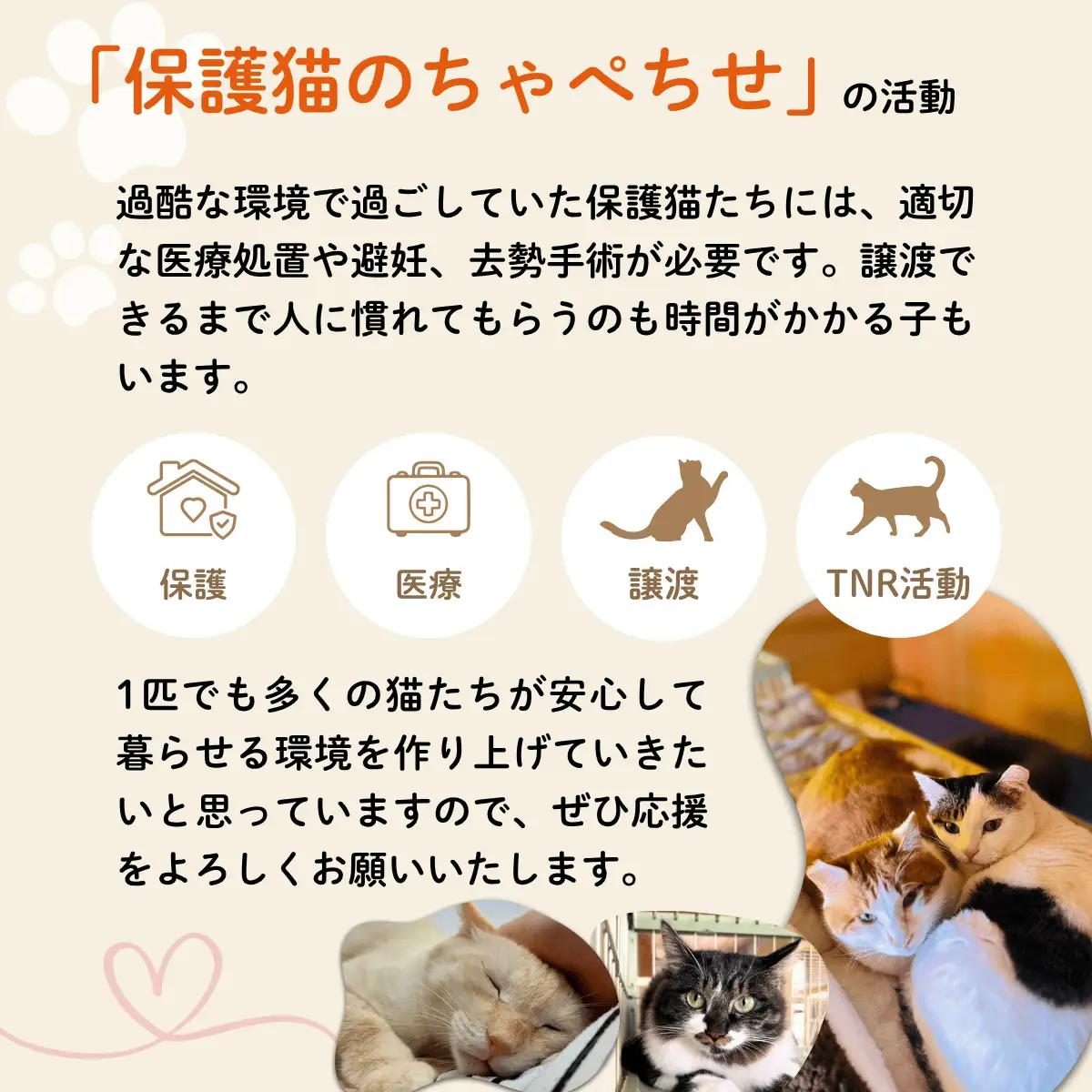 ガツんとみそガツホルモン【保護猫活動につながる返礼品】