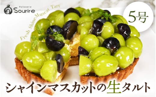 【先行予約】【数量限定】サクサク食感 シャインマスカットのフレッシュタルトケーキ 5号：直径15cm (4～5人前) 850g 【2026年9月発送】 【シャインマスカット マスカット ますかっと ケーキ マスカットケーキ ホール たると スイーツ デザート 果物 フルーツケーキ 洋菓子 贈答 ギフト】 [A-5220_09]