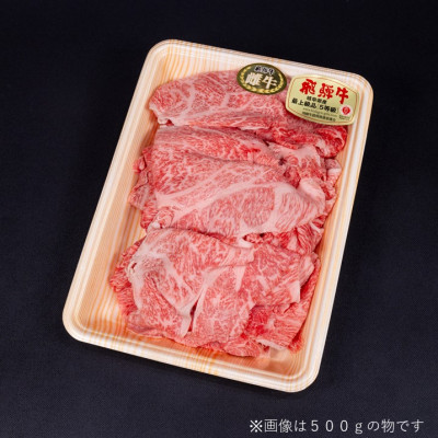 【最飛び雌牛】飛騨牛A5等級切り落とし　500g【配送不可地域：離島】