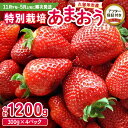 【ふるさと納税】いちご あまおう 300g 4パック 計1200g 大粒 濃厚 甘い 特別栽培 安心 安全 冷蔵 果物 フルーツ ストロベリー アフター保証 スイーツ ケーキ スムージー ジャム デザート 福岡県産 福岡限定 ふくおかエコ農産物 国産 お取り寄せ 福岡県 久留米市 送料無料