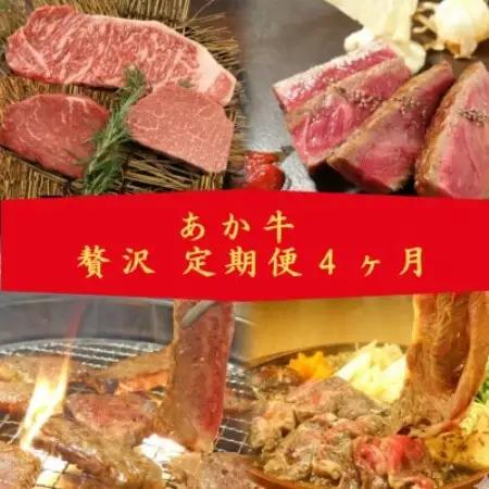 【毎月定期便】あか牛 贅沢 定期便【4か月】全4回【配送不可地域：離島】【4086544】
