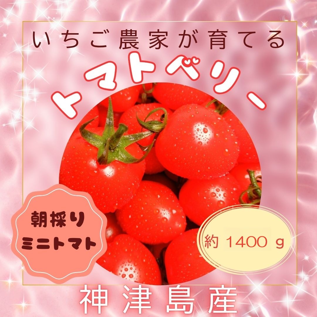 
                  【神津島】トマトベリー
                