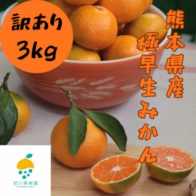 【2025年10月から順次発送】熊本県産極早生みかん　訳あり品3kg【1670939】