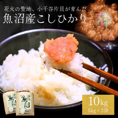 ふるさと納税 小千谷市 令和7年産 魚沼産コシヒカリ10kg(5kg×2袋) 四尺玉花火の町小千谷市片貝町 米萬商店