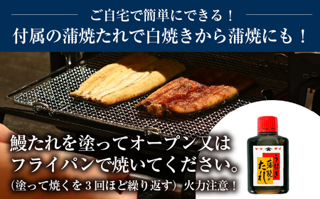 愛知県三河産　うなぎ　白焼き 4尾