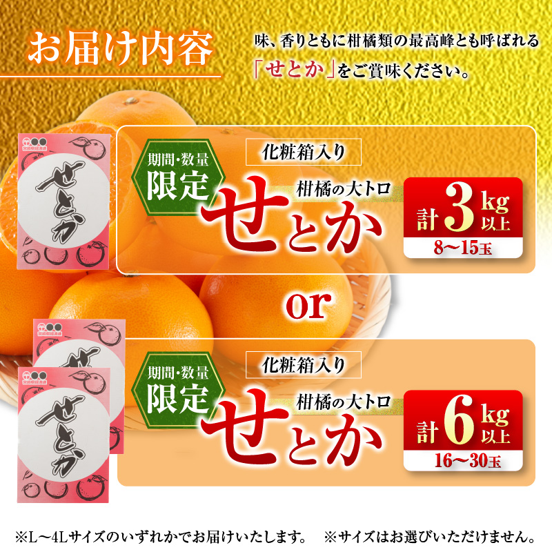 ≪内容量が選べる≫ 柑橘の大トロ せとか 先行予約 希少 期間限定 数量限定 フルーツ 果物 くだもの 柑橘 みかん オレンジ 令和8年発送 みかんジュース フルーツサンド 国産_S-CC29-23_