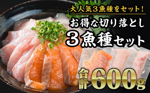 【大人気３魚種のお得なセット※】サーモン・ブリ・タイ ３種 生食用 切り落とし 大満足 600gセット｜小分け 三重県尾鷲市 人気 大満足 返礼品 刺身　OB-30