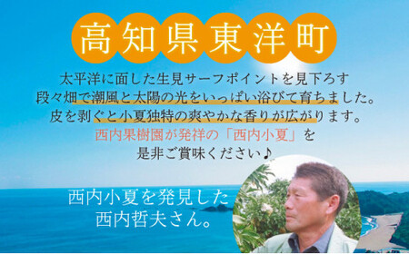 ＜先行予約＞【訳アリ】西内小夏 10kg　N52 [NU-03] 【西内農園】