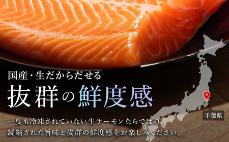 ＜メディア掲載多数＞木更津産おかそだち生サーモントラウトフィレ250g×4P(真空パック) KJ009 | サーモン 生サーモン 鮭 さけ サケ シャケ ふるさと納税 真空パック 真空 生サーモントラ