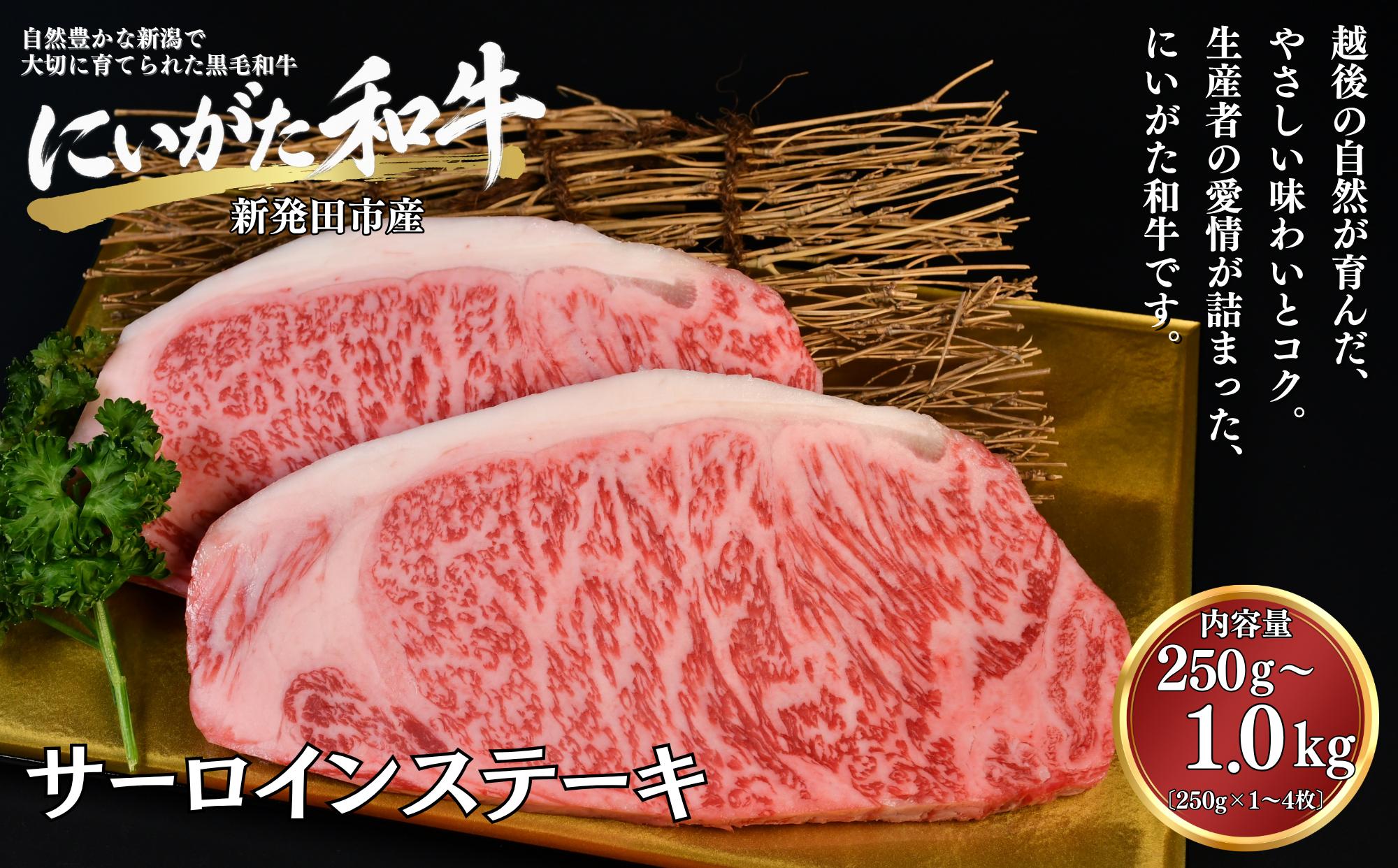 
                  肉 和牛 サーロインステーキ 250g 500g 1kg 焼肉 ステーキ にいがた和牛 黒毛和牛 牛肉 ギフト 贈答用 グルメ お取り寄せ 新発田市産 ごちそう 精肉 新潟県 新発田市 yoneichi013P
                
