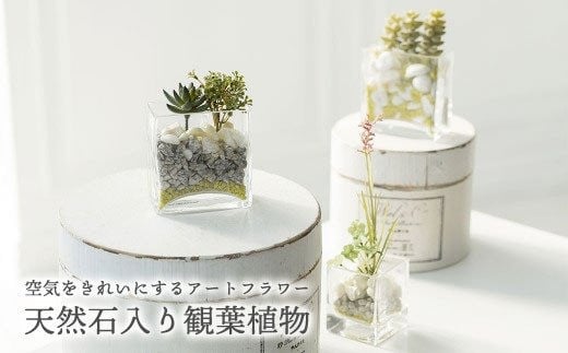 
【空気をきれいにするアートフラワー】天然石入り観葉植物
