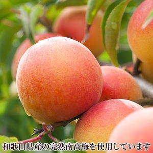 【定期便5回】紀州南高梅しそ漬つぶれ(塩分約15％)