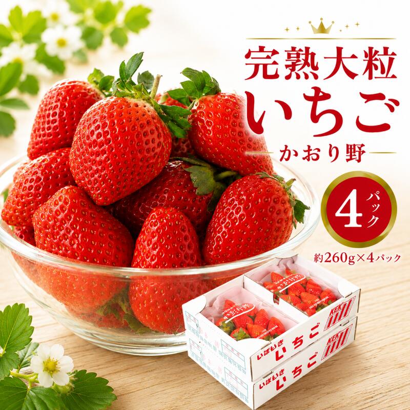 【ふるさと納税】 いちご かおり野 選べる容量 約 260g × 2パック 4パック 先行予約 【2027年1月より発送開始】 苺 イチゴ 果物 食べ比べ 詰め合わせ 数量限定 かおりの フルーツ くだもの デザート 野菜 完熟 朝採れ 新鮮 国産 茨城県 筑西市 関東
