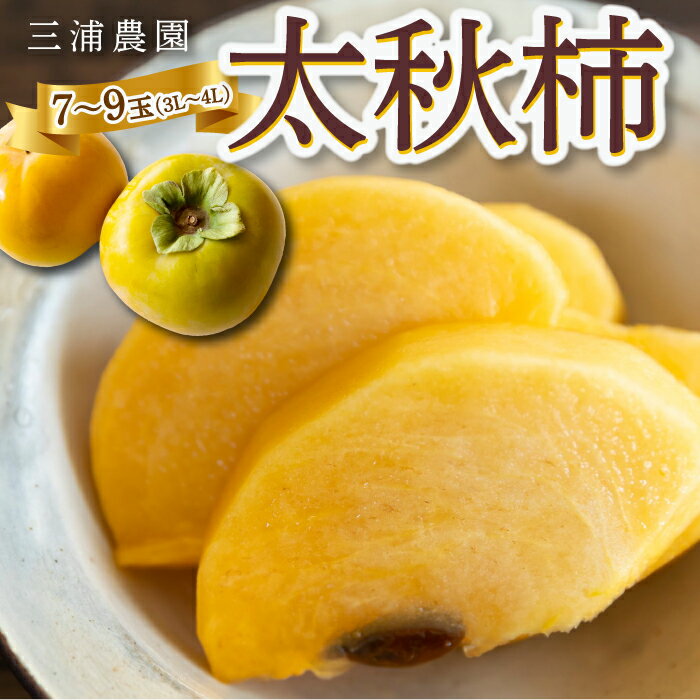 【ふるさと納税】【先行予約】三浦農園 太秋柿 7玉から9玉 (3Lから4L) 【2026年10月上旬から10月下旬 出荷予定】柿 かき カキ フルーツ 果実 果物 常温 送料無料 福岡県 うきは市