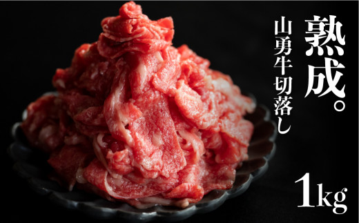 【訳あり】牛肉 飛騨牛 切り落とし 切落し 500g × 2 計1kg 和牛 標高1,000ｍの牧場で生まれ育った飛騨牛