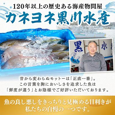ふるさと納税 御坊市 御坊産　鮮魚セット　約2.5kg |  | 03