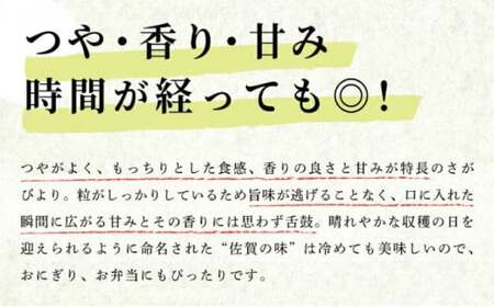 《先行予約》《2026年2月発送》 令和7年産 さがびより（精米）5㎏
