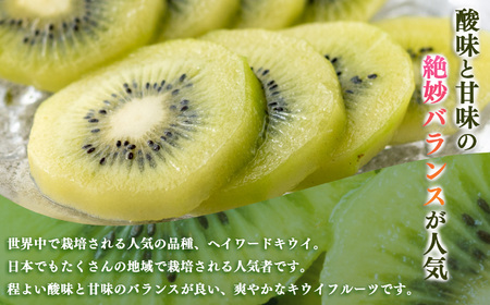キウイフルーツ（27～33個）| キウイ フルーツ キウイフルーツ フルーツ くだもの 果物 奈良県 五條市