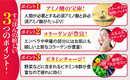 だし付きで簡単！安心安全な国産の最高級食材！おうちですっぽん鍋 1人前×2セット 料理 人気 美容 健康 ギフト 広島県産 江田島市/平井興産株式会社[XAC017]
