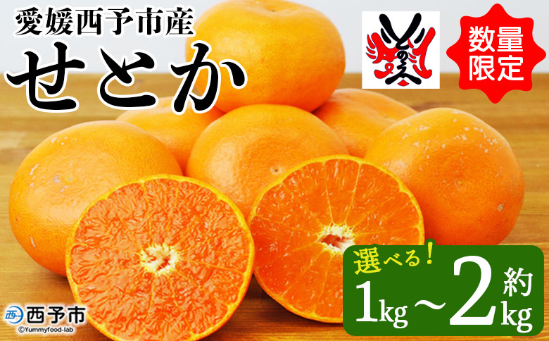 
            愛媛西予市産 せとか 約1kg／2kg　果物 くだもの フルーツ 柑橘類 ミカン みかん 甘い 特産品 糖度 家庭用 自宅用 産地直送 渡江から一歩を踏み出す会 食べて応援 愛媛県 西予市
          