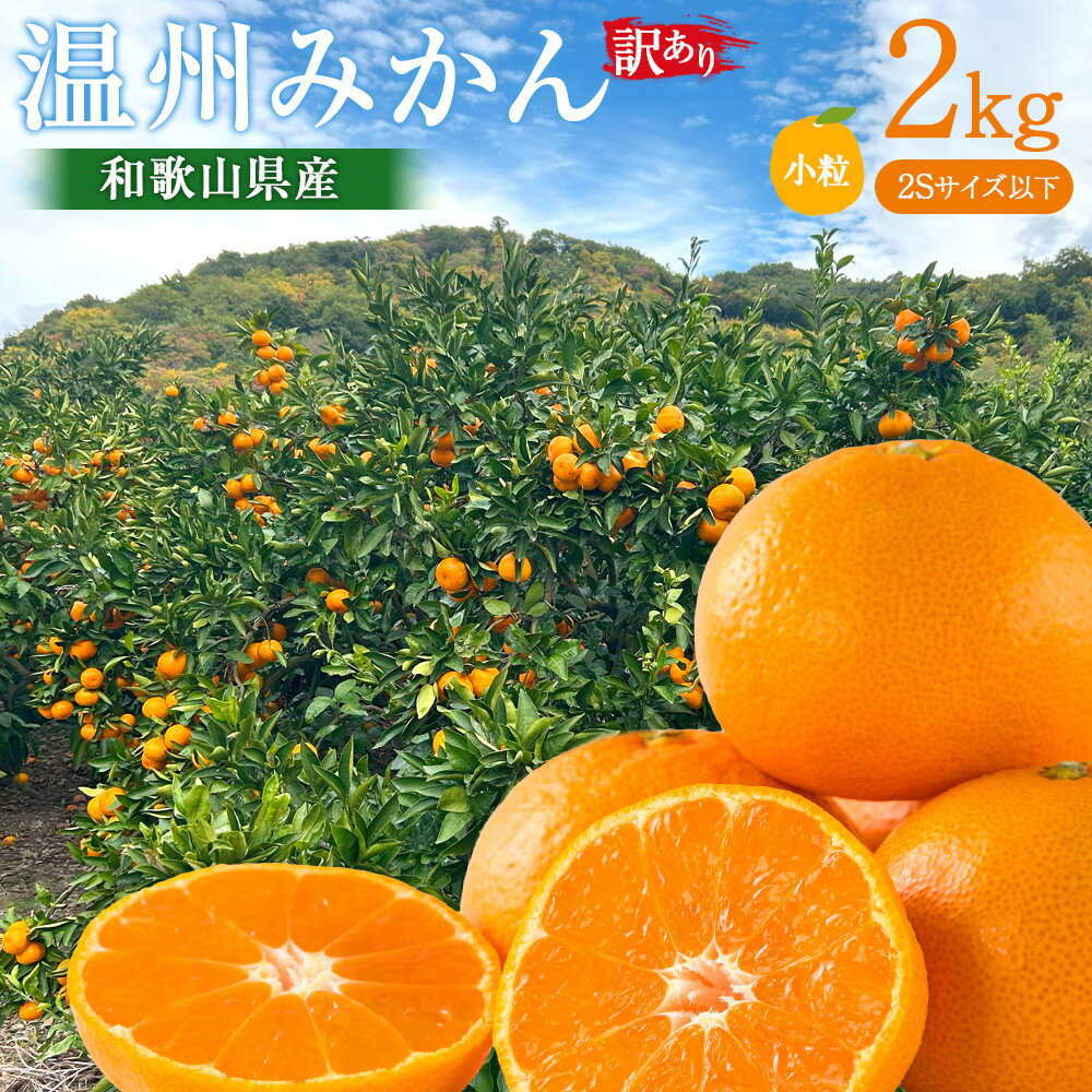 【ふるさと納税】［先行予約］訳あり 温州みかん 約2kg 小粒［2025年11月上旬頃から順次発送予定］ | みかん 蜜柑 フルーツ 果物 くだもの 食品 人気 おすすめ 送料無料 産地直送
